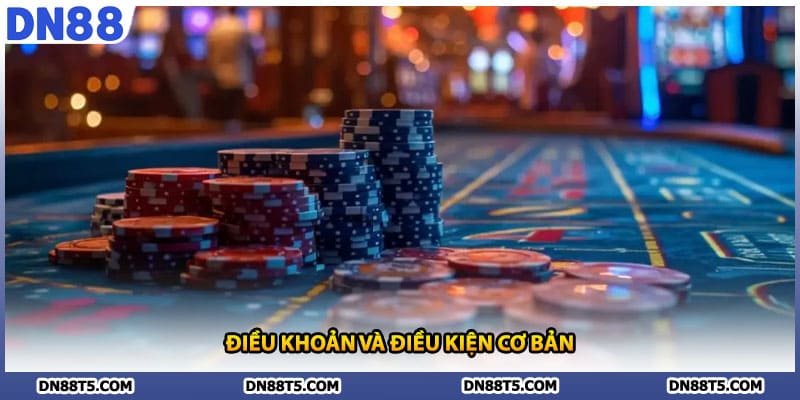 Điều khoản và điều kiện cơ bản